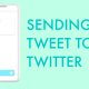 how to send a tweet from within your angular app via node js