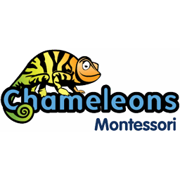 chameleons montesorri