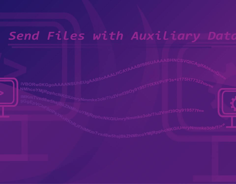 sending files with auxiliary data